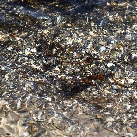 Casa de Férias 6 Person In Bjert *