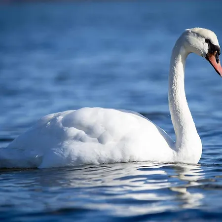 Casa de Férias 6 Person In Bjert