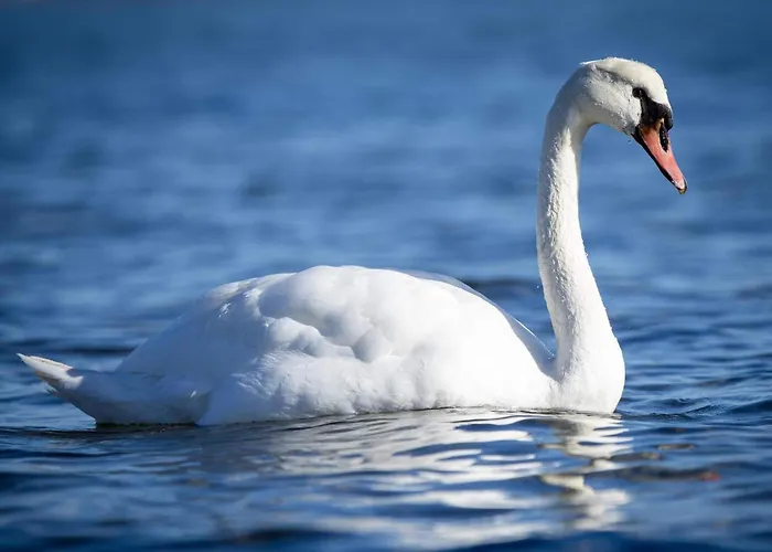 Casa de Férias 6 Person In Bjert